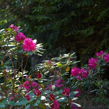 팜스테이 Dobra Jaskowo